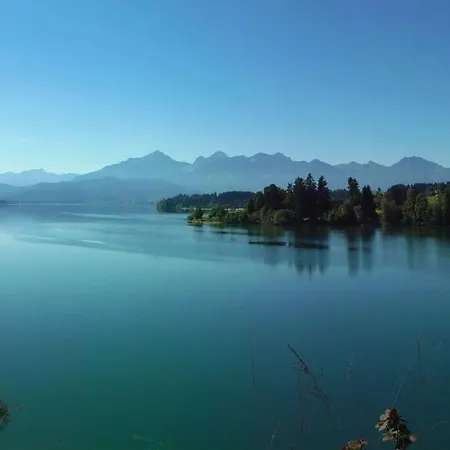 Alpennelke * Füssen