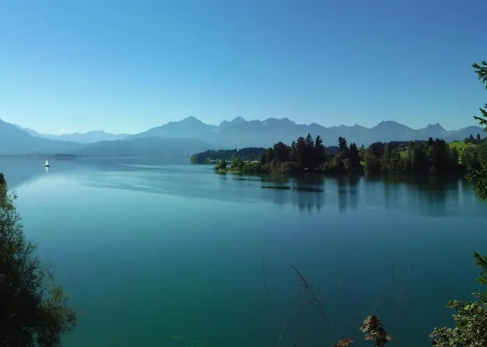 Alpennelke * Füssen